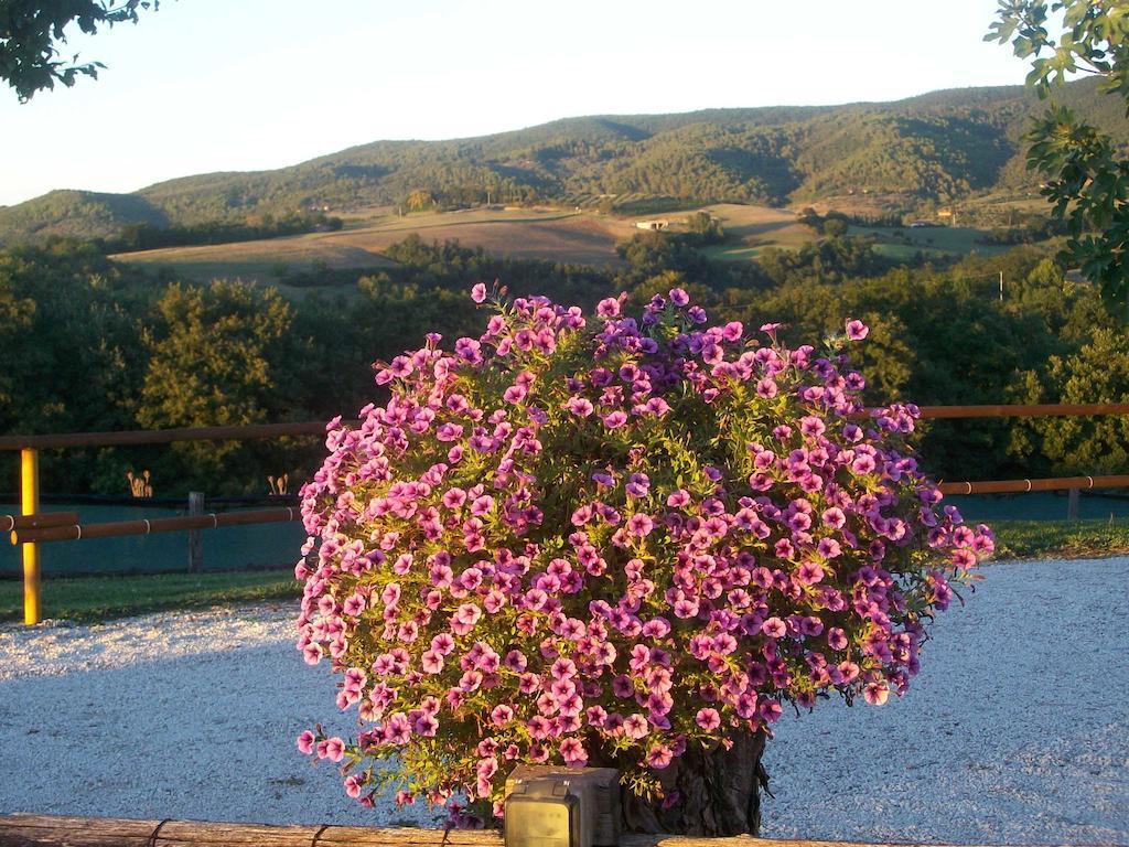 Vila Casale Il Colle Deruta Exteriér fotografie